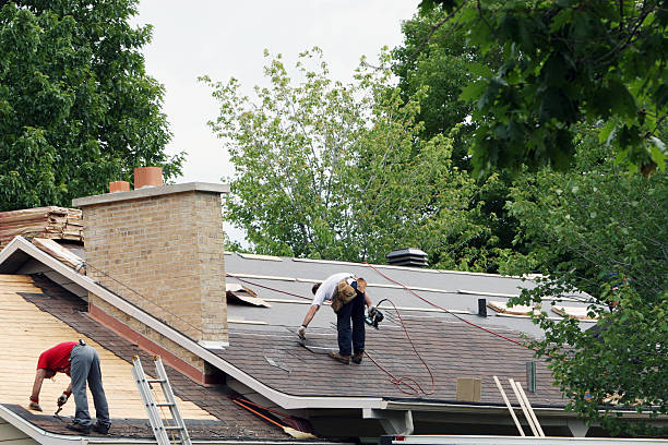 Best Shingle Roofing Installation  in Minden, NE